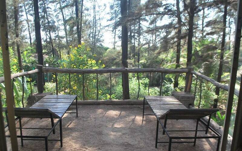 Khotanchi Wadi Beach Resort, Shrivardhan 4